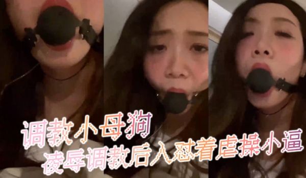 调教小母狗凌辱调教后入怼着虐操小逼