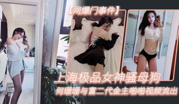 网爆门事件上海极品女神骚母狗何珊珊与富二代金主啪