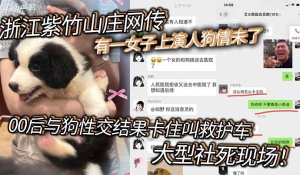浙江紫竹山庄网传有一女子上演人狗情未了00后与狗