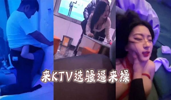 来KTV选骚逼来操