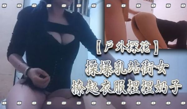 户外探花操爆乳站街女撩起衣服捏捏奶子撸硬大屁股骑