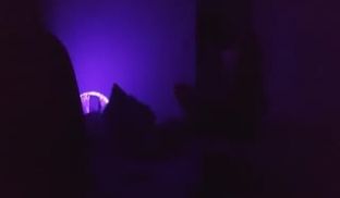 【锤子探花】周末操前女友，超喜欢被舔逼，69姿势