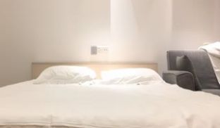 极品学妹兼职 腼腆羞涩 男爵喜欢极了 忘情狂吻