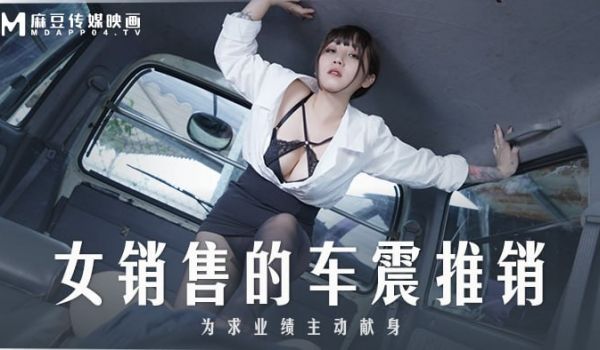 女销售的车震推销_