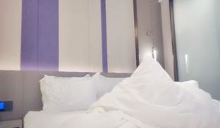 赵总寻欢迷人的少妇
