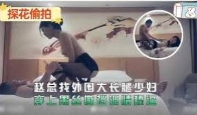 【赵总探花】外围大长腿少妇，穿上黑丝撕裆调情，舔