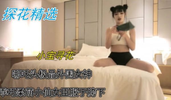 小宝探花 哪咤头极品外围女神 感受异域风情