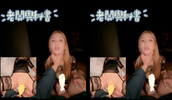 老板与秘书 应该是蛮多人的幻想吧