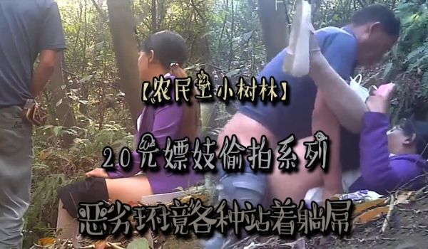 农民工小树林20元嫖妓偷拍系列恶劣环境各种站着躺