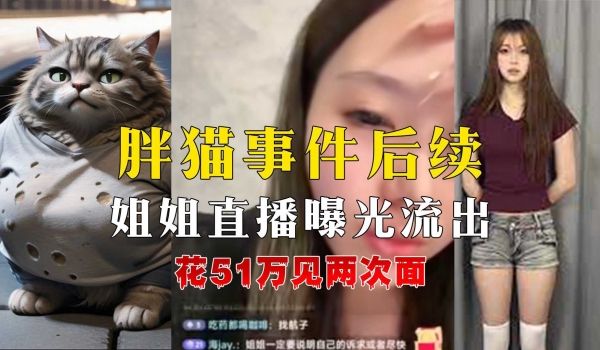 胖猫事件后续姐姐直播曝光答疑解惑声泪俱下