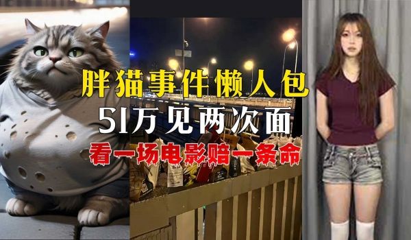胖猫事件懒人包当胖猫遇到捞女一个年轻人如何走上不