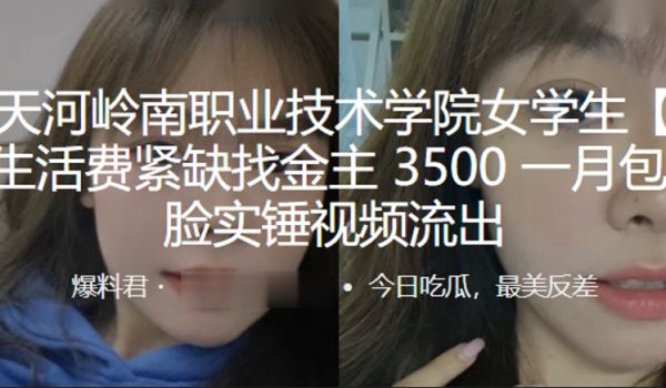 广州天.河岭南.职业技术.学院.学生生活.费紧缺