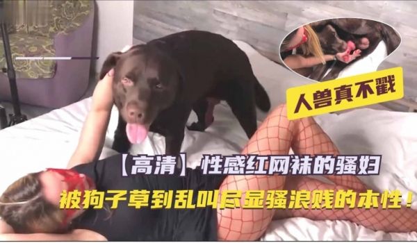 高清两个女人太饥渴抓住马吊一顿舔