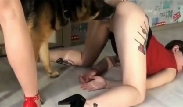 姐姐教唆狗狗操自己的妹妹