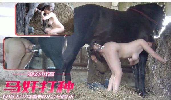 农场主带母畜到马场解决马情公马需求大鸡巴爆插骚逼