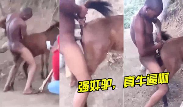 强奸驴真牛逼啊