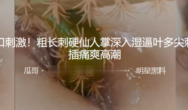 重口刺激粗长刺硬仙人掌深入湿逼叶多尖刺抽插痛爽高