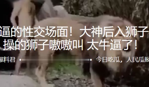 最牛逼的性交场面后入狮子王操的狮子嗷嗷叫太牛逼了