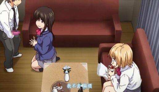 后宫狂热