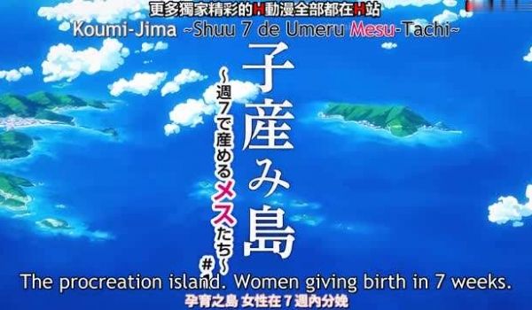 我想看的子岛上