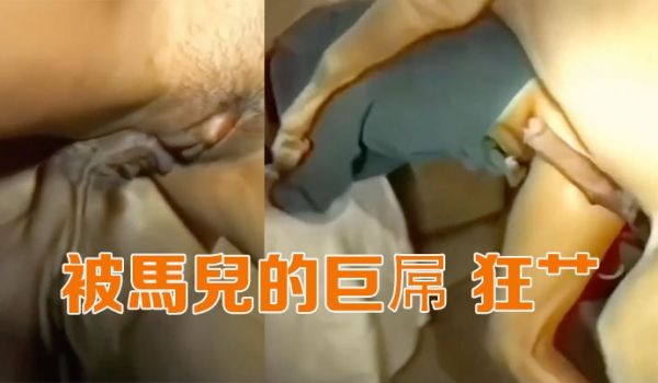 被马儿的巨屌狂艹