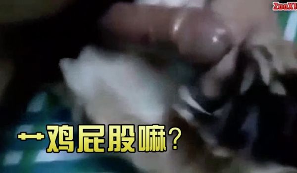 艹鸡屁股嘛