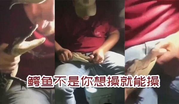 鳄.鱼不.是你想.操想.操就能.操