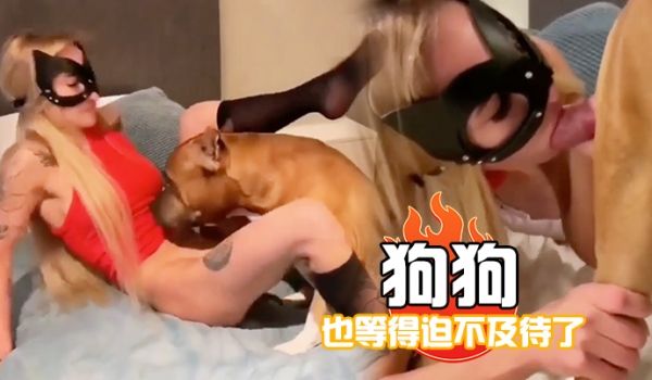 狗狗也等得迫不及待了