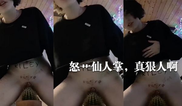 怒艹仙人掌真狠人啊