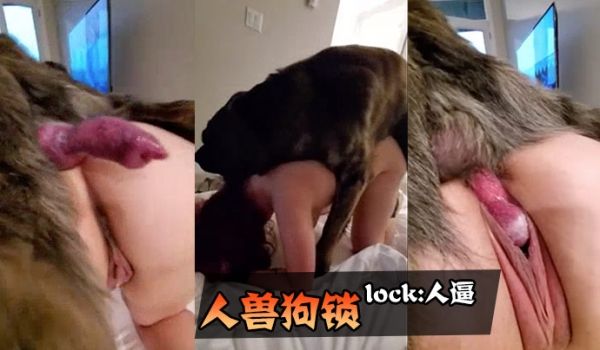 人兽狗锁lock人逼人妻