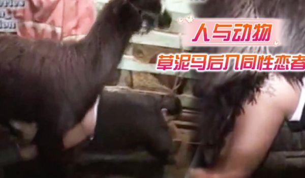人与动物草泥马后入同性恋者就喜欢和动物乱搞