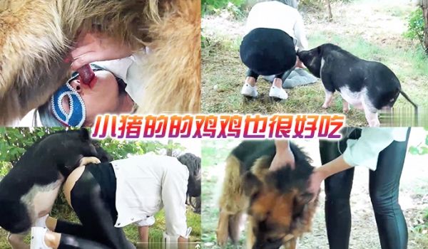 小猪的的鸡鸡也很好吃