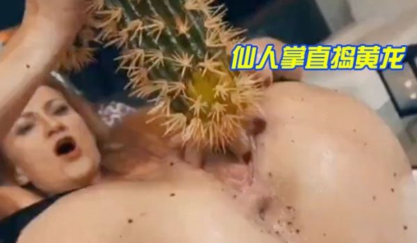 仙.人掌.直捣黄.龙