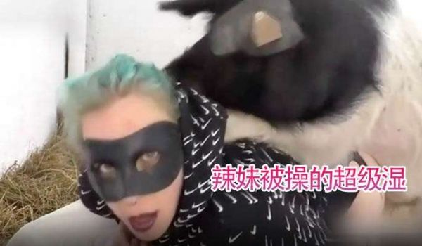 被猪狂肏辣妹被操的超级湿