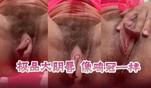 极品大阴唇像鸡冠一样这是被吸多了吗