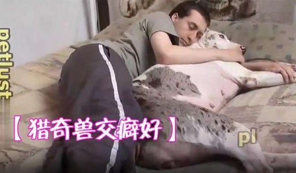 猎奇兽交癖好耐心诱导狗狗舔乳头舔狗逼