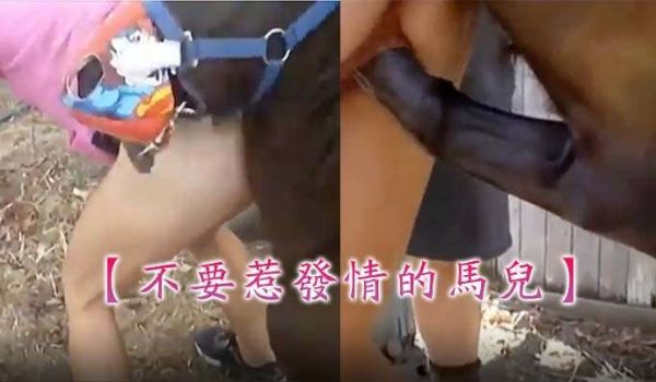 不要惹发情的马儿马鞭的后入攻势这么多水
