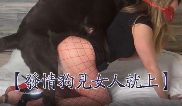 发情狗见女人就上女人也乖乖被艹