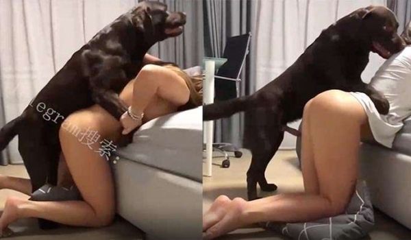 女主被狗后入还紧紧抓着狗不让走
