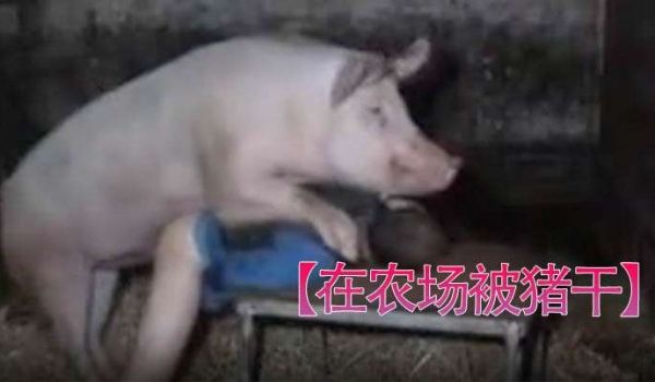 在农场被猪干男人被干的挺爽