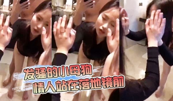 发骚的小母狗情人站在落地镜前后入清脆的啪啪声真诱