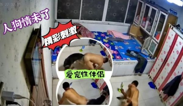 人狗情未了爱宠性伴侣_人狗插屁屁精彩刺激