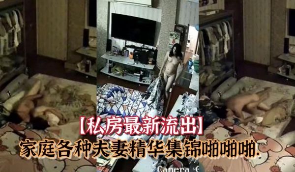私房最新流出黑客破解摄像头偷拍家庭各种夫妻精华集