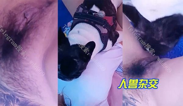 人兽杂交