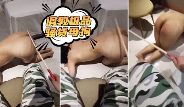 调教极品骚货母狗