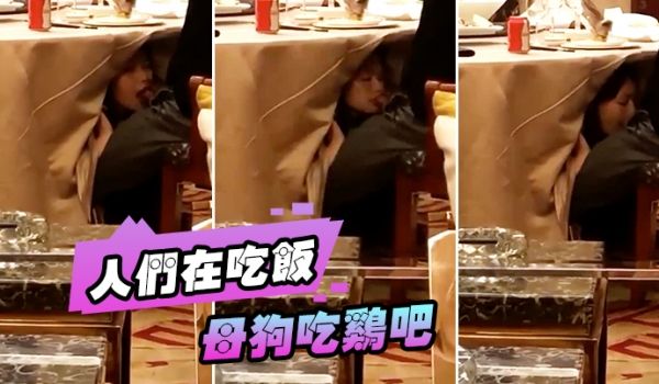 人们在吃饭母狗吃鸡吧