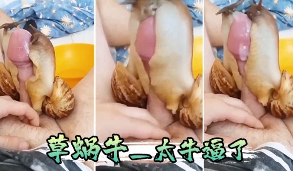 草蜗牛_太牛逼了