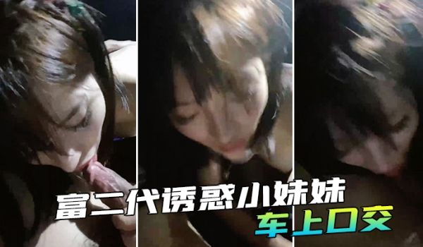 富二代诱惑小妹妹车上口交