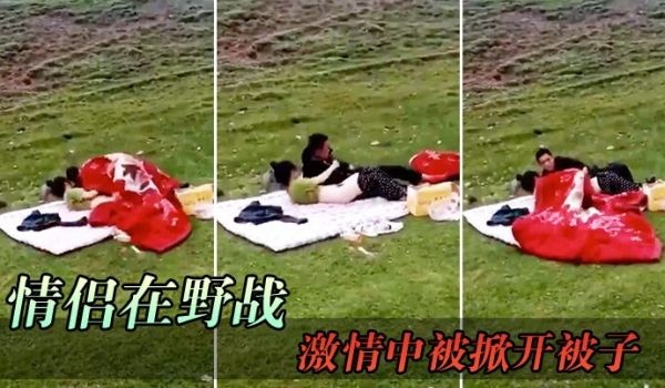 情侣在野战激情中被掀开被子