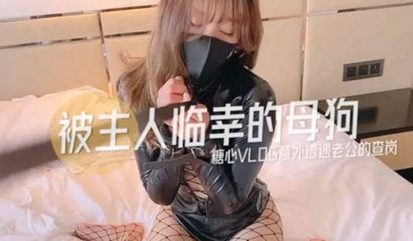超人气美少女糖心up意外遭老公的查岗被主人幸临调